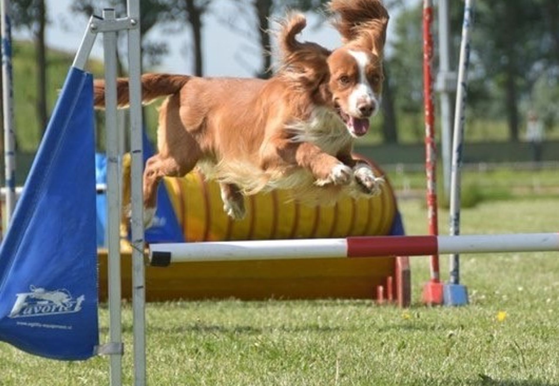 Agility
