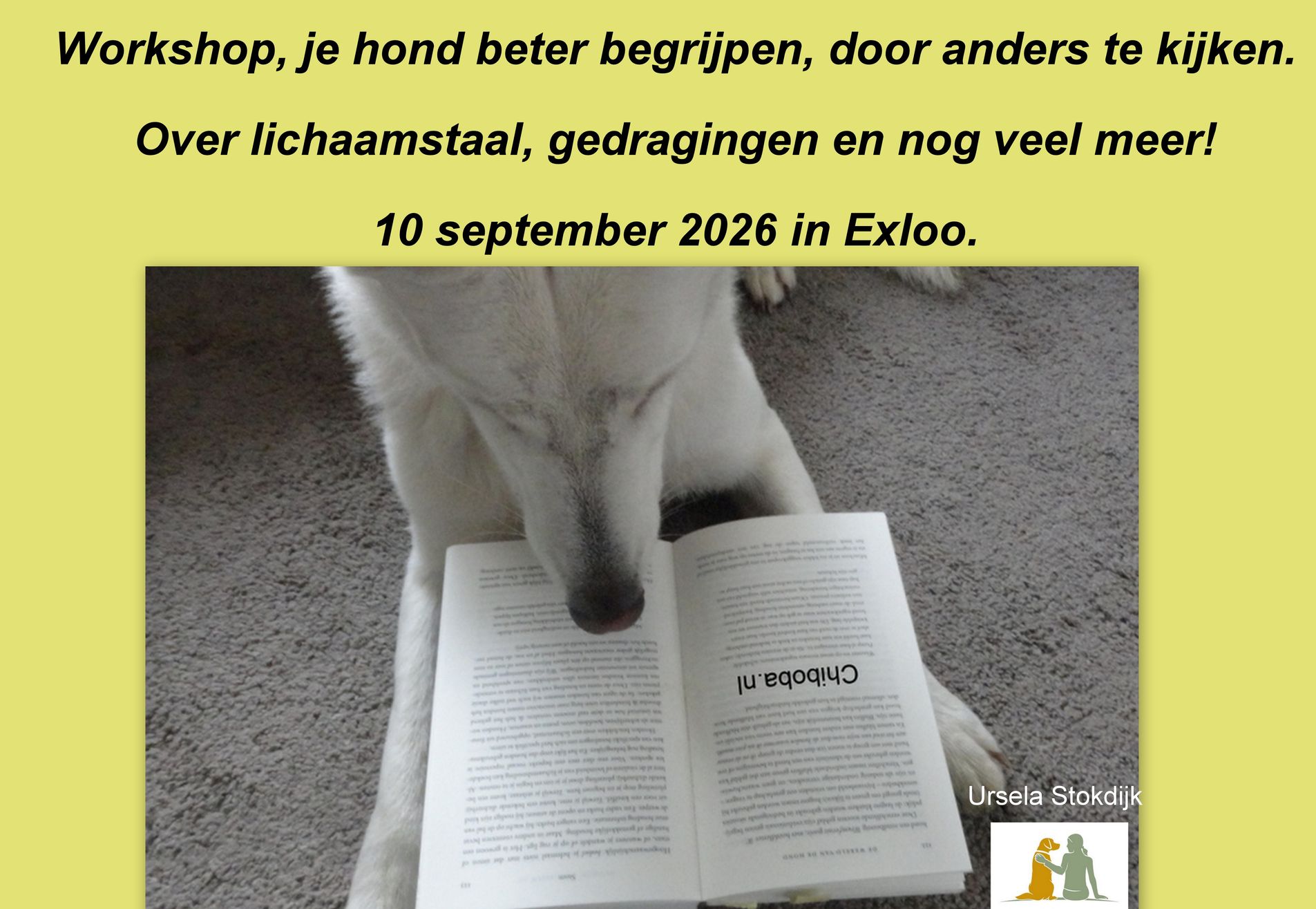 Krijg meer grip op het gedrag van jouw hond