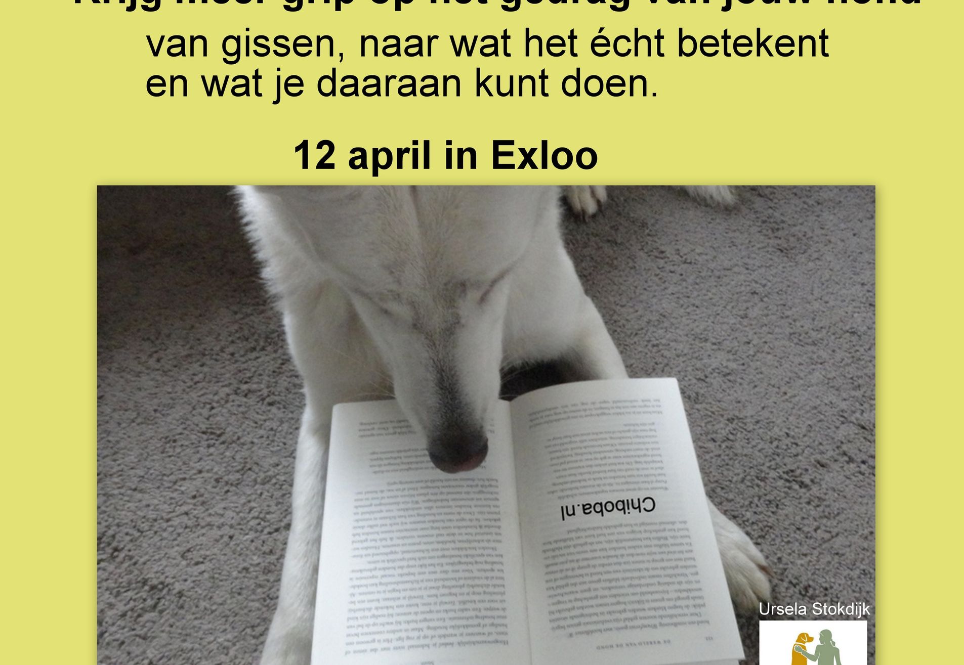 Krijg meer grip op het gedrag van jouw hond