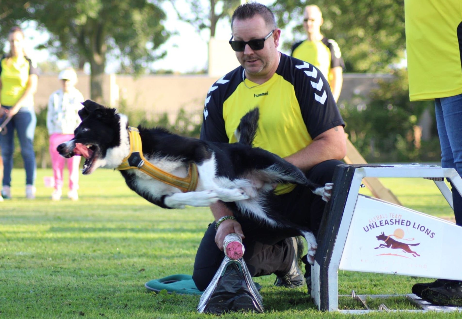 FCI Flyball