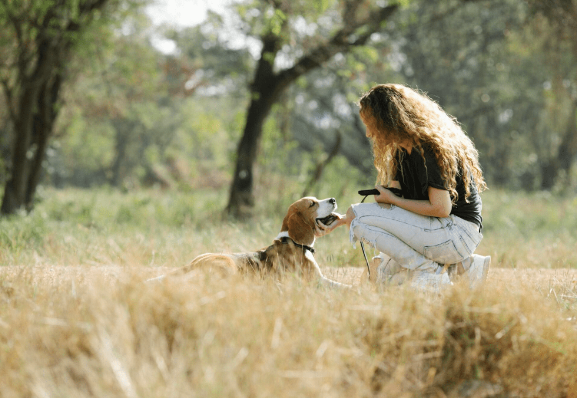 Begrijp je hond (online)
