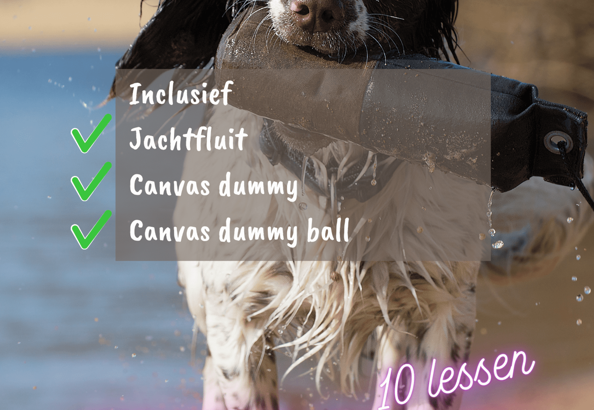 Jachttraining – samenwerken vanuit instinct