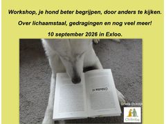 Krijg meer grip op het gedrag van jouw hond