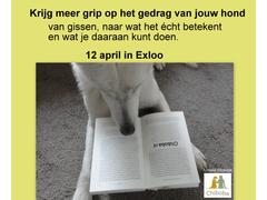 Krijg meer grip op het gedrag van jouw hond
