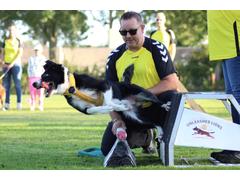 FCI Flyball