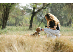 Begrijp je hond (online)