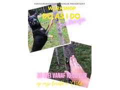 Do as I do - trainen door na te doen