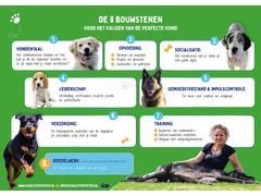 Puppytraining